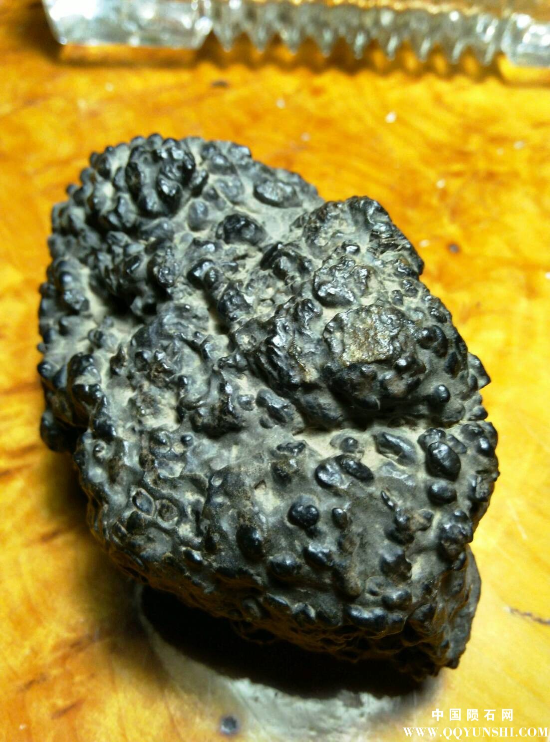 IMG20160409_220551.jpg