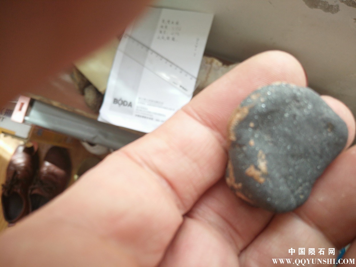 IMG20160414113356.jpg