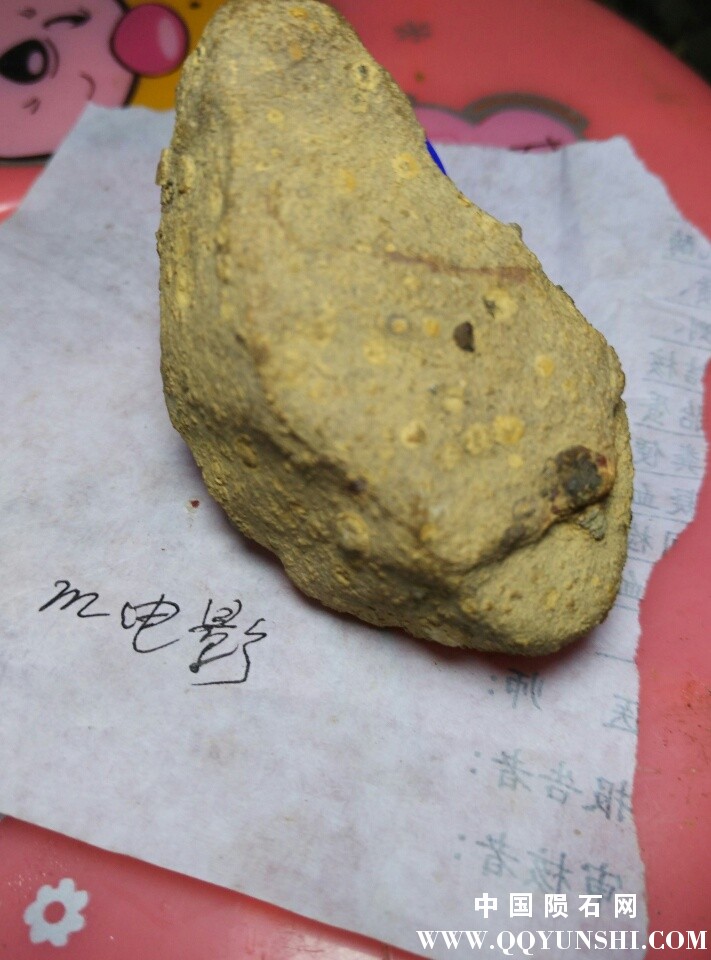 rps20160417_080026.jpg
