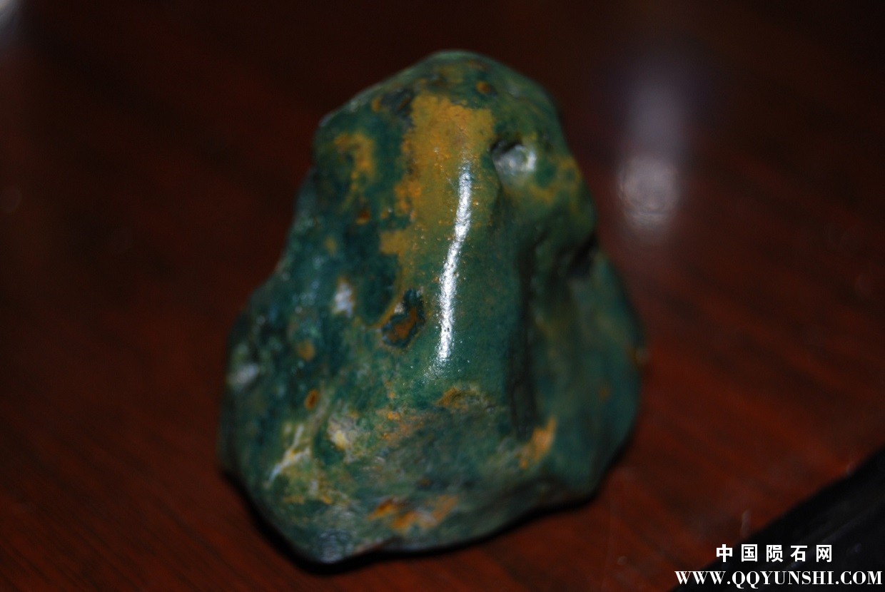 DSC_2689.JPG