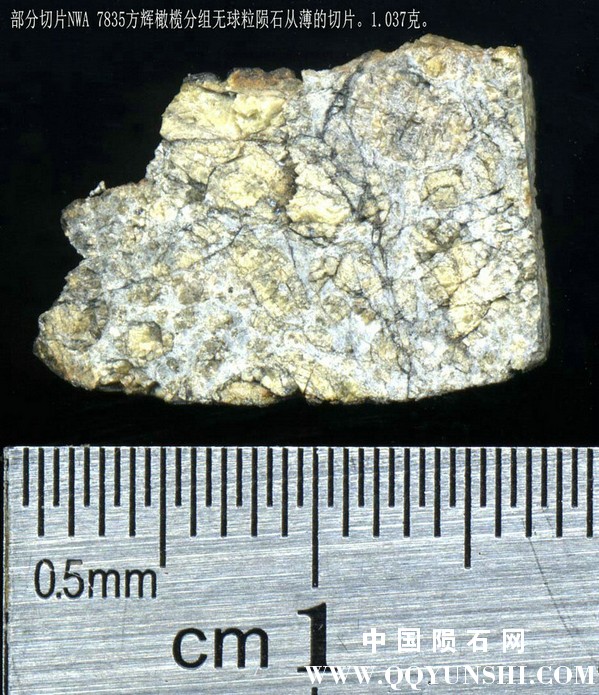 10 NWA 7835 harzburgitic ungrouped achondrite 1.037g.jpg