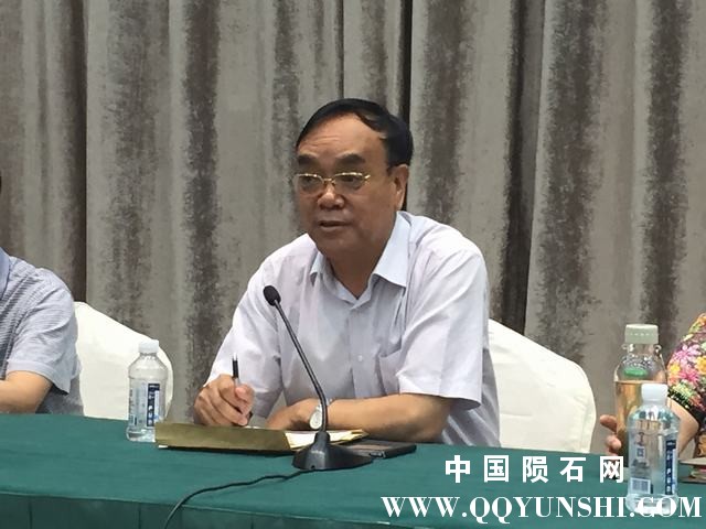 图为中石协陨委会会长姚和江讲话.JPG