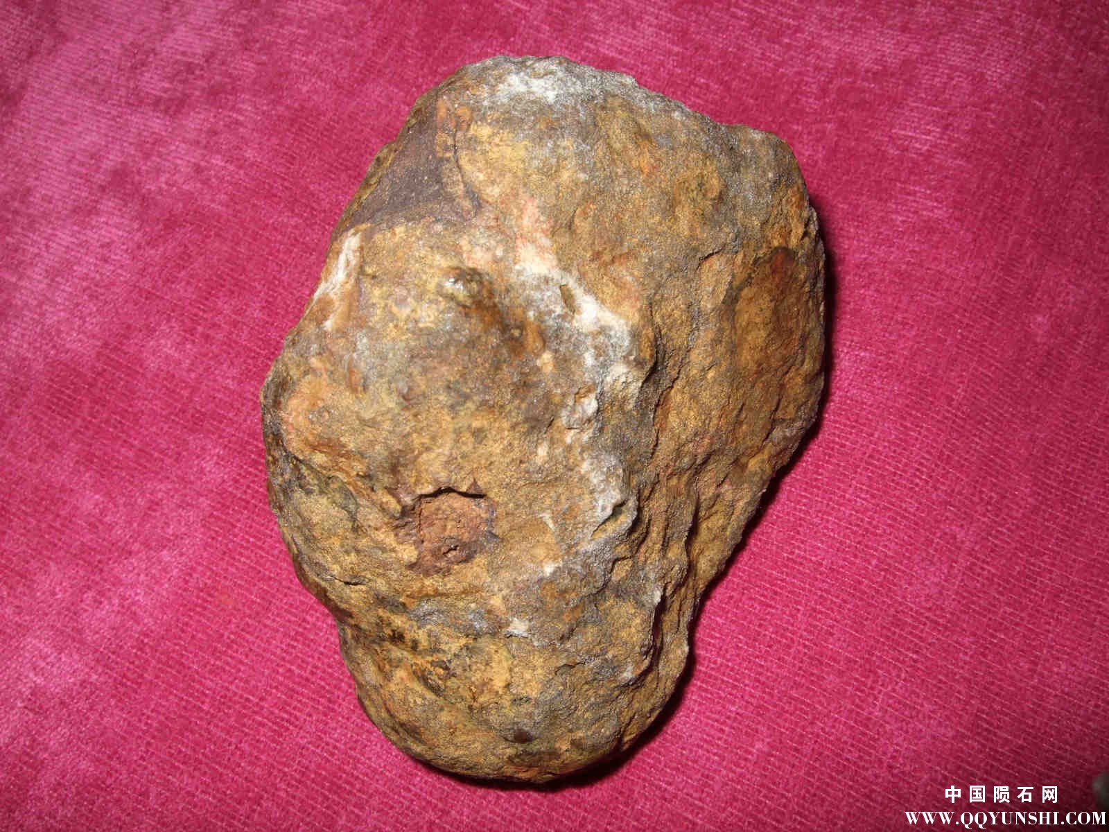 DSCF7628.jpg