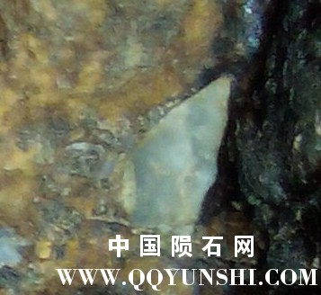 QQ图片2.jpg