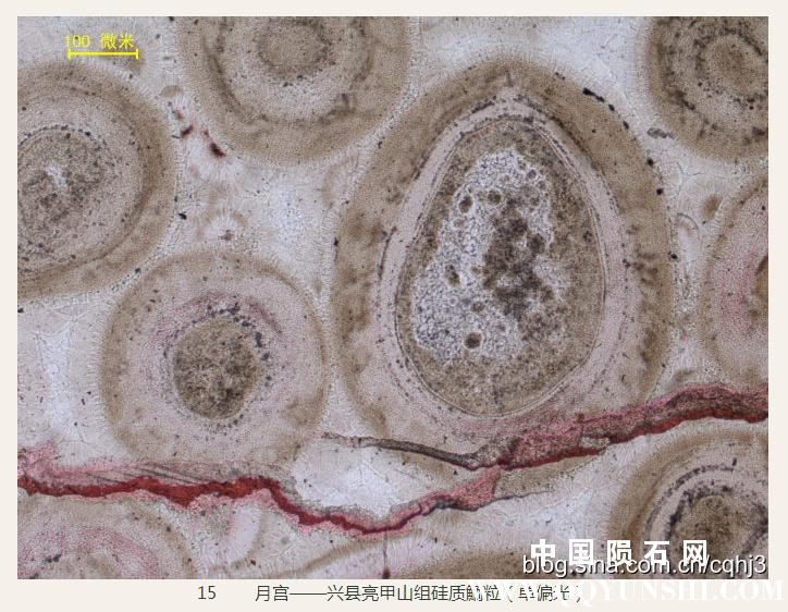 360截图20160930150102229.jpg