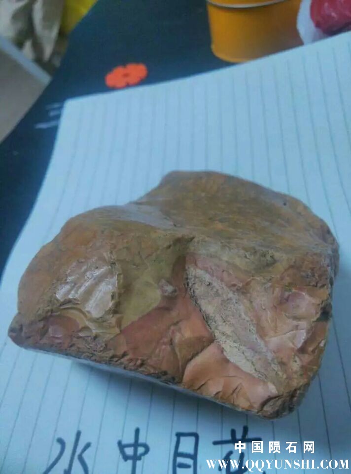 缺口处疑似骨头