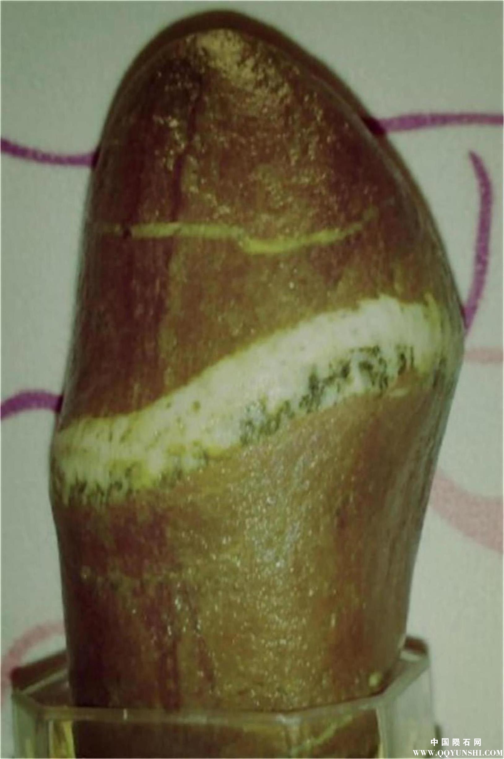 阳起石3.jpg