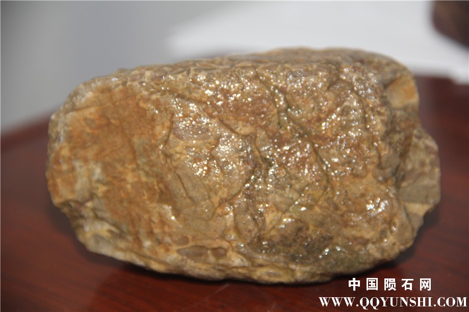 IMG_0939_副本5.jpg