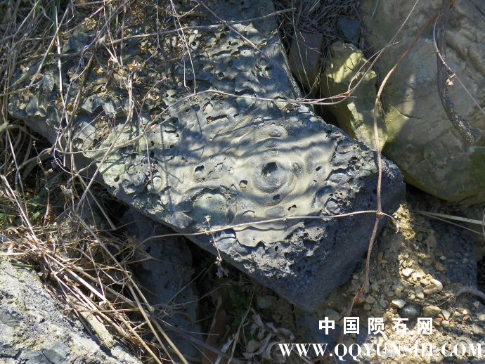 720ddef3tda602a91633a&amp;690.jpg
