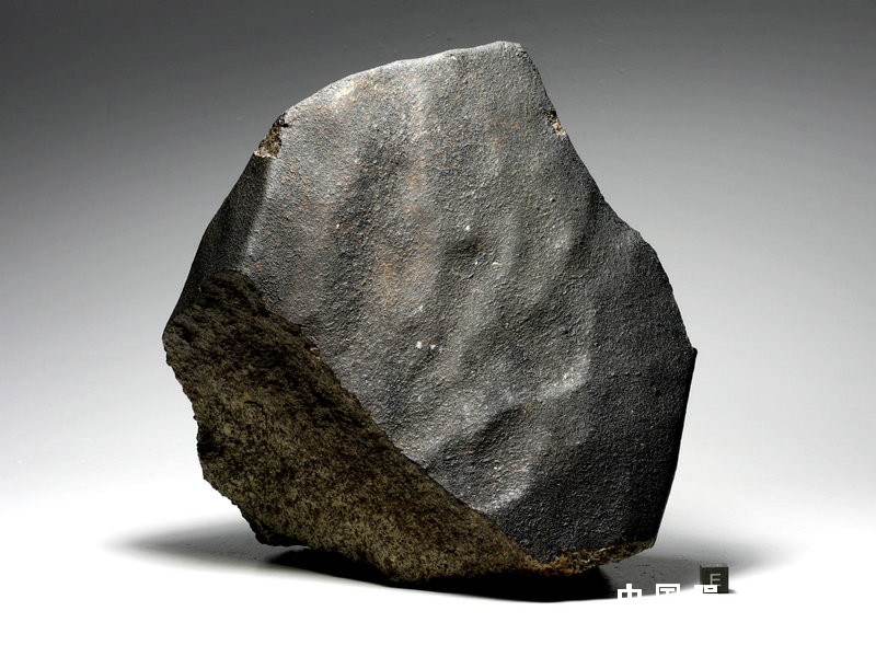 cgnekxelaz1.jpg