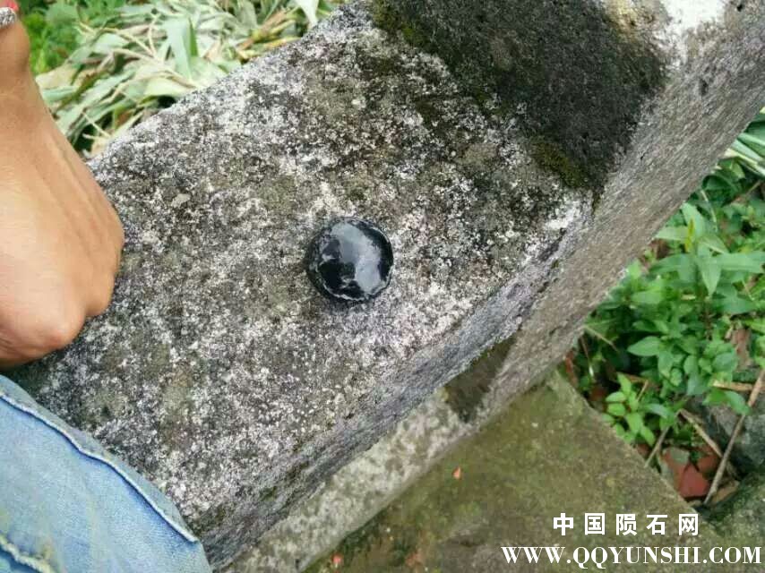 QQ图片20170323002631.jpg
