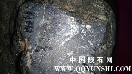 IMG20170319123458.jpg