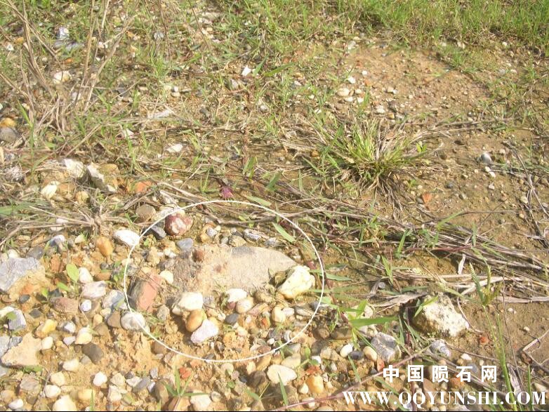 QQ图片20090828210856.jpg