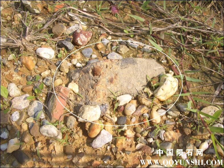 QQ图片20090828210932.jpg