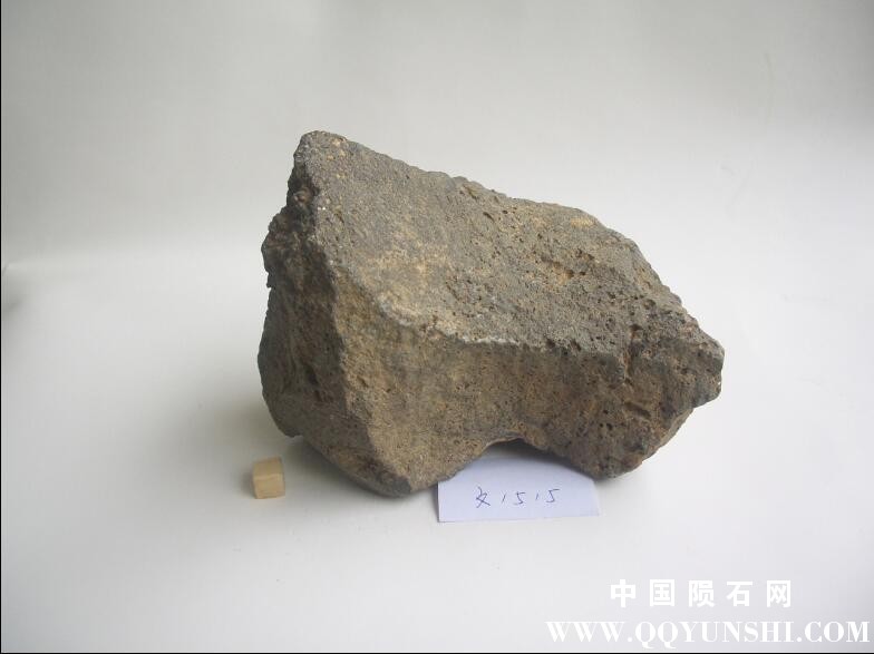 QQ图片20090828211119.jpg