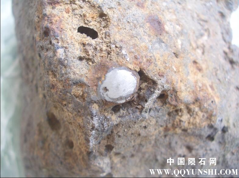 QQ图片20090828211406.jpg