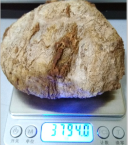 QQ截图20170401114734.png