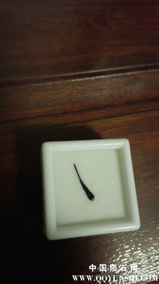 冲击蝌蚪.jpg