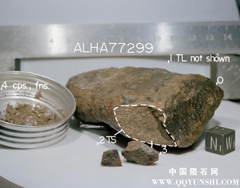 南极普通球类陨石_ALH 77299 H3.7 Chondrite-1.jpg