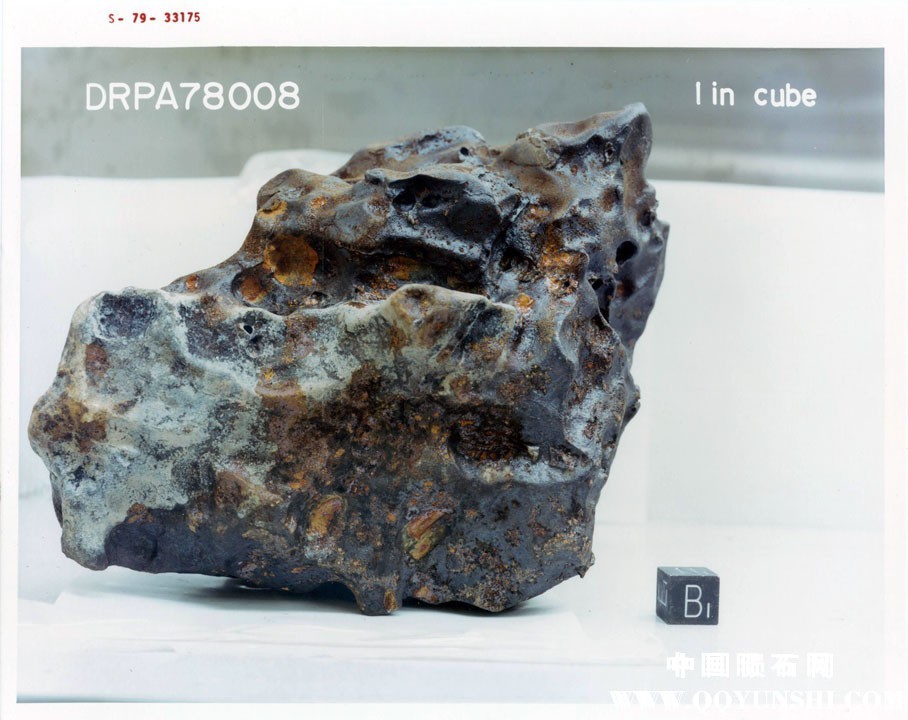 南极铁陨石 Iron-IIAB_DRP 78008 -6.jpg