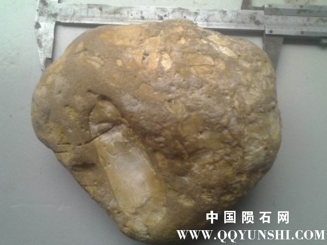 微信图片_20170426180800.jpg1.jpg
