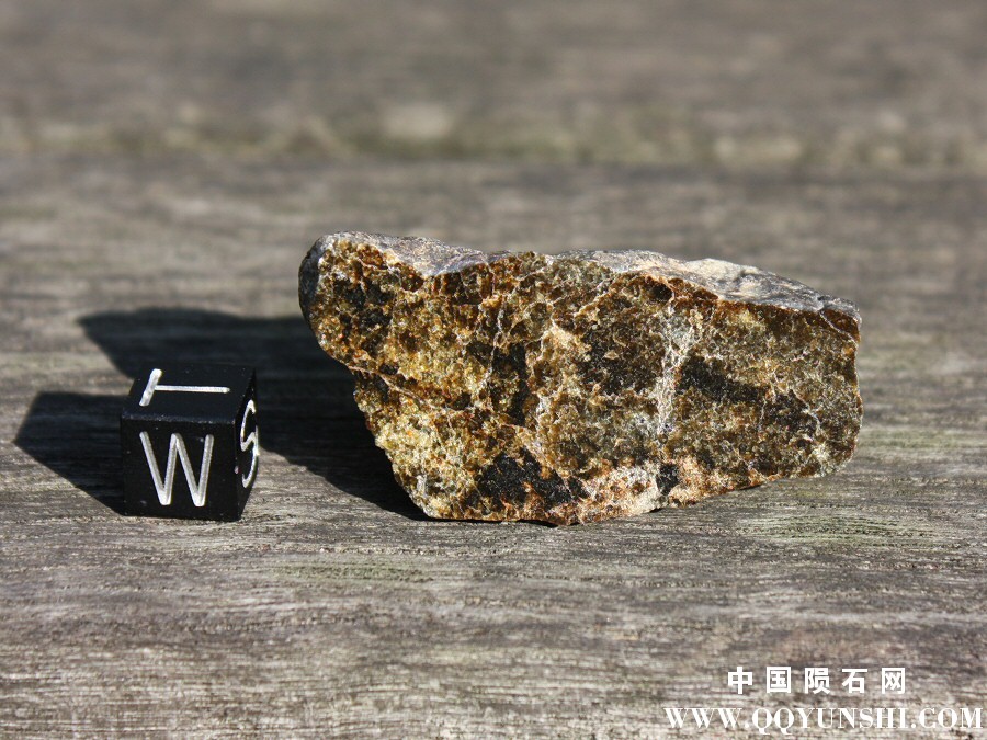 灶神星陨石 Diogenite NWA5480-1.jpg