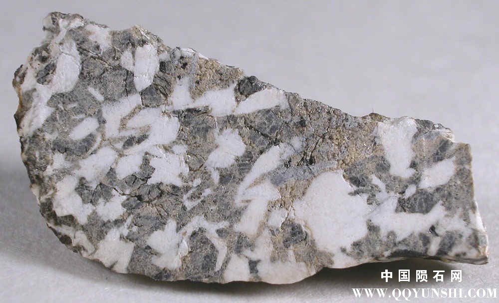 灶神星陨石 NWA 2650 EUCRITE-8.jpg