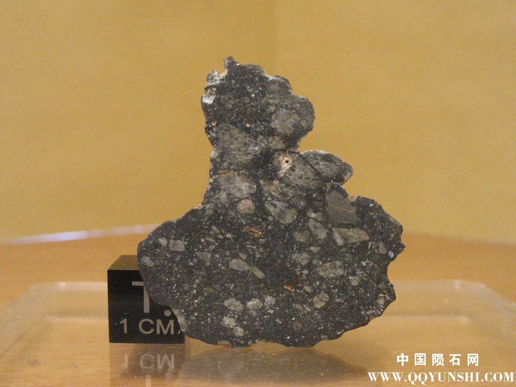 灶神星陨石NWA 8266 eucrite-3.jpg
