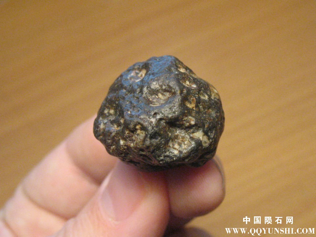 灶神星陨石NWA 8266 eucrite-10.jpg