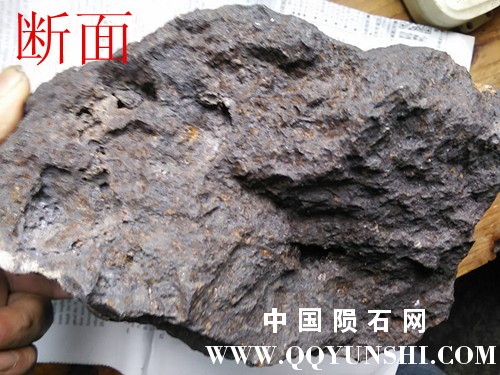 IMG20170514172310.jpg