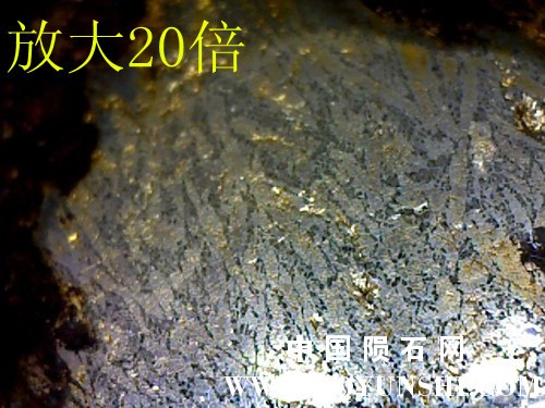图片 001.jpg