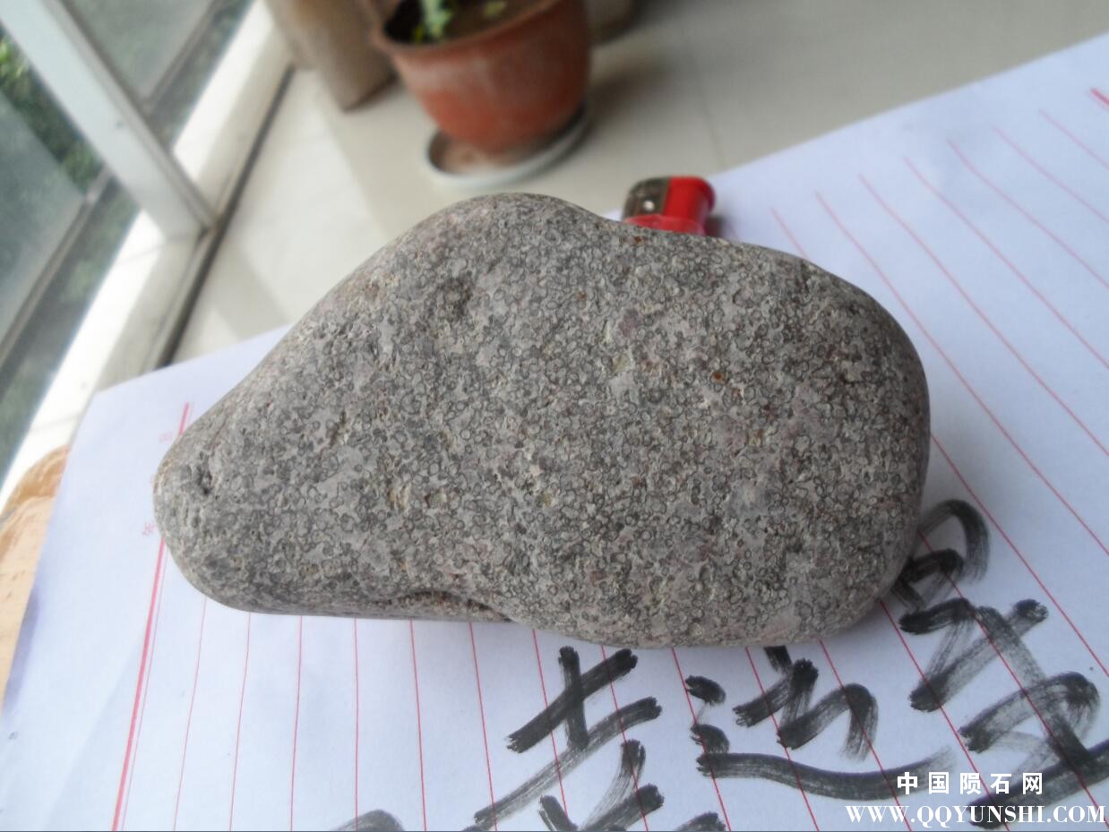 QQ截图20170602193746.jpg