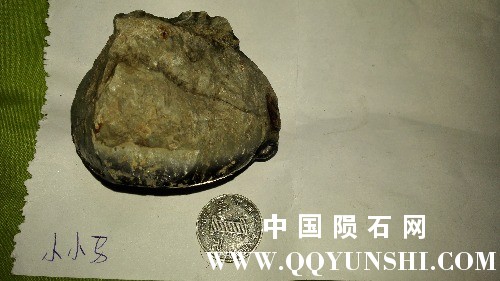 IMG_20170604_200658.jpg
