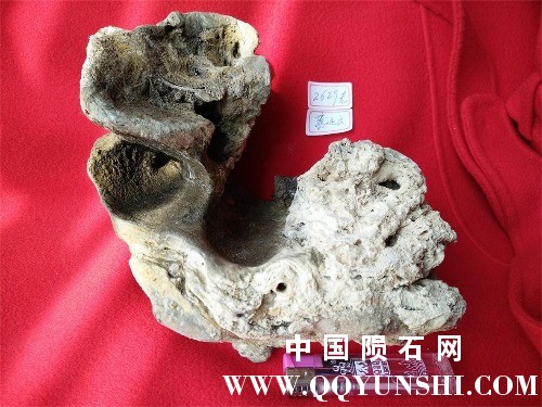 IMG20170212124422.jpg