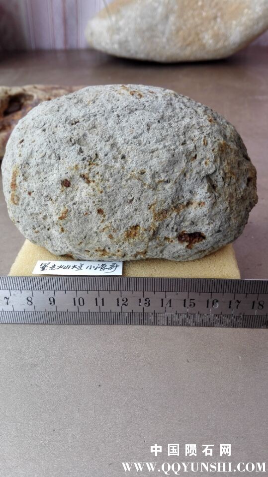 1b9aeacc5564cb2.jpg
