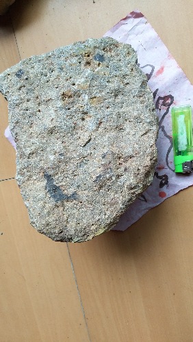 IMG_20170615_131143.jpg