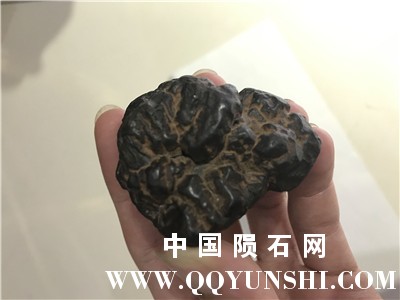 QQ图片20170616201641_副本.jpg