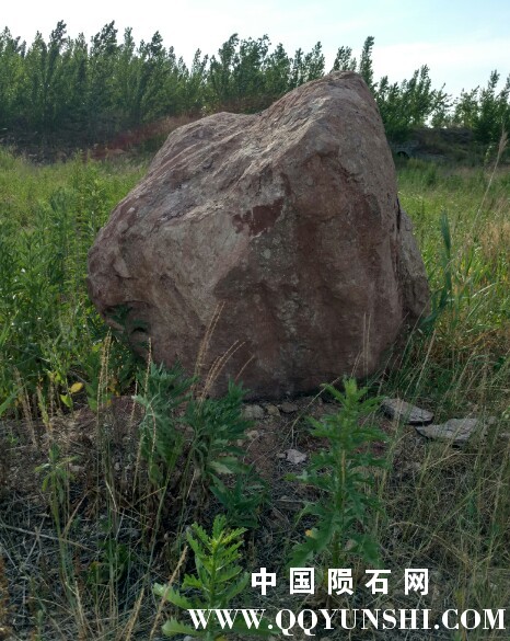 IMG_20170618_171224679_HDR~01.jpg