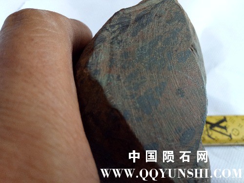 IMG20170704134827.jpg