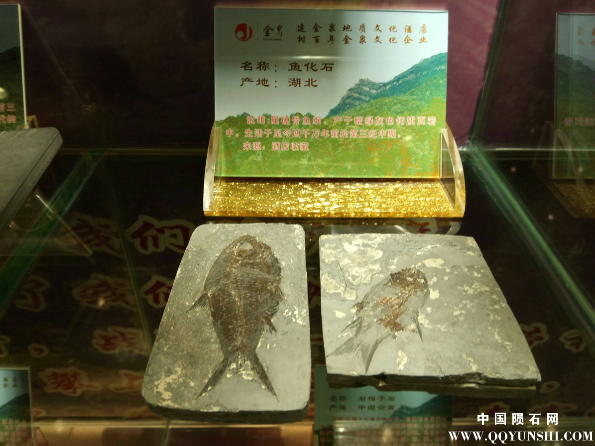 照片 191.jpg