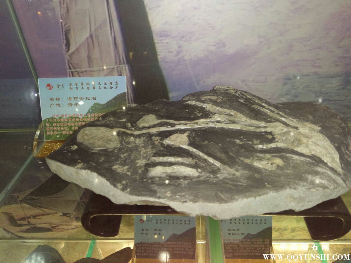 照片 201.jpg