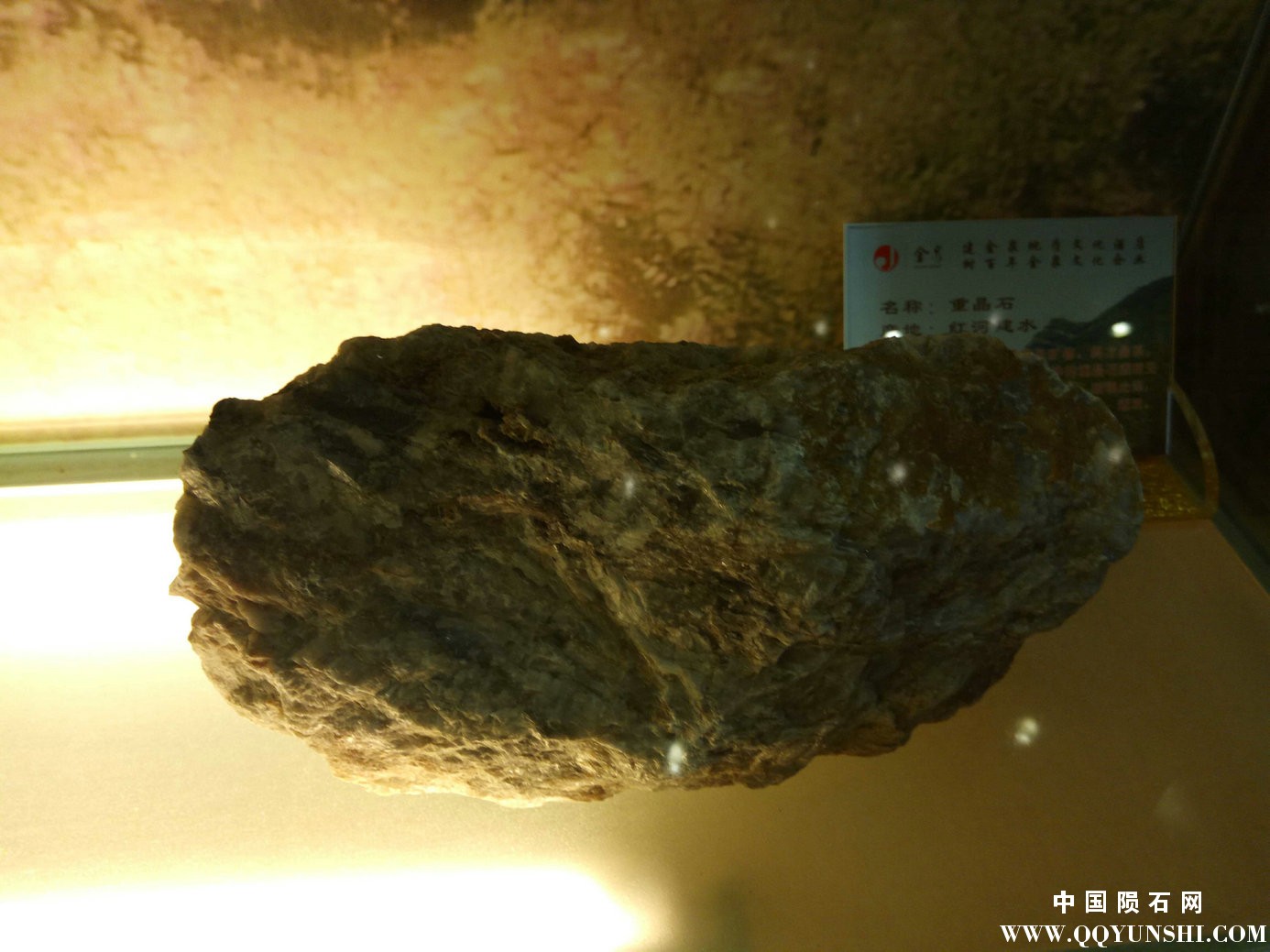 照片 203.jpg