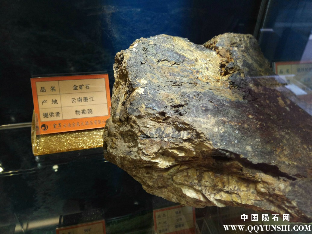 照片 224.jpg