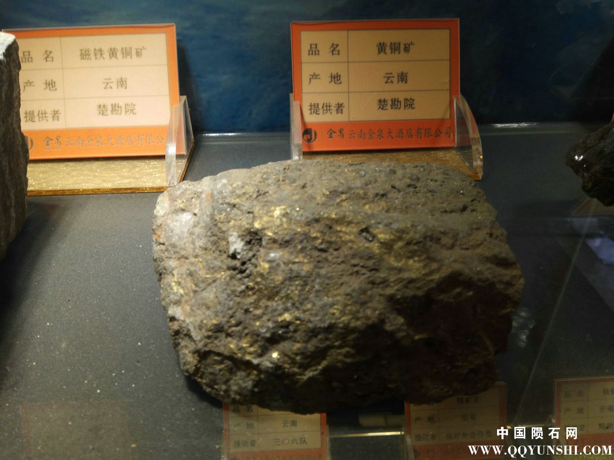 照片 228.jpg