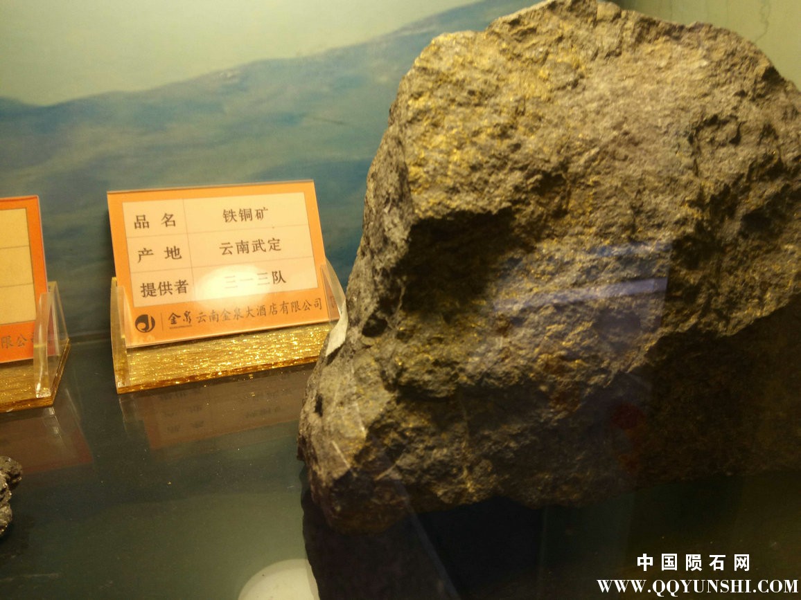 照片 238.jpg