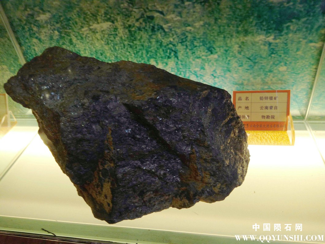 照片 242.jpg