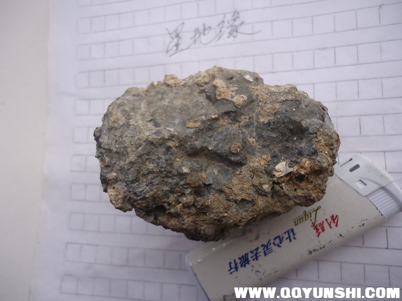 DSC04570_副本.jpg