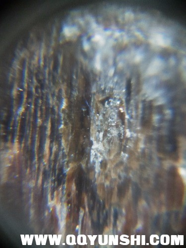 IMG20180327125838.jpg