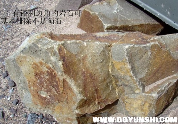 002nPpTpgy6R0igLmSK62&amp;690.jpg