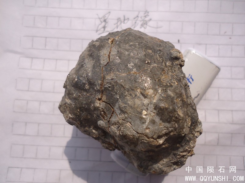 DSC04566_副本.jpg